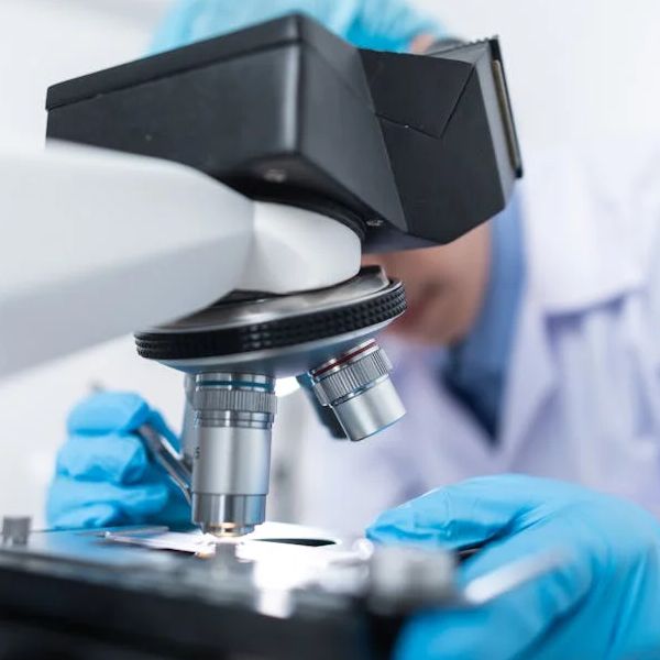 Autoimmunologia – ANA, anty-dsDNA, RF, anty-CCP, anty-TPO, anty-TG